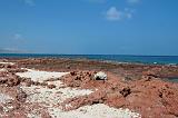 IMG_5288 Di Hamri  (Marine Protected Area), Socotra